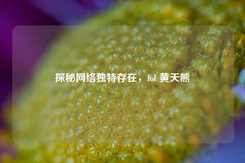 探秘网络独特存在，lol 黄天熊