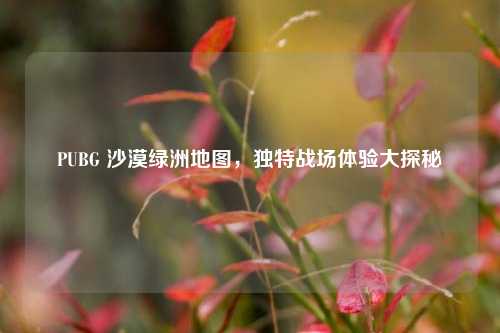 PUBG 沙漠绿洲地图，独特战场体验大探秘