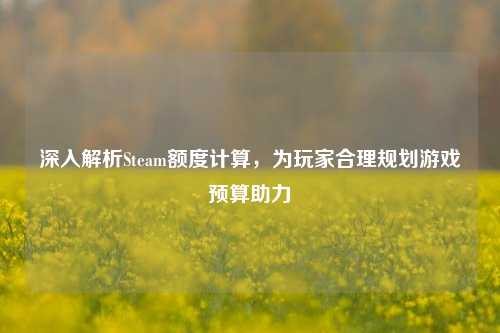 深入解析Steam额度计算，为玩家合理规划游戏预算助力