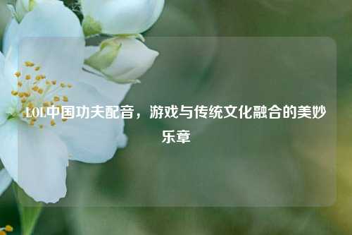 LOL中国功夫配音,游戏与传统文化融合的美妙乐章