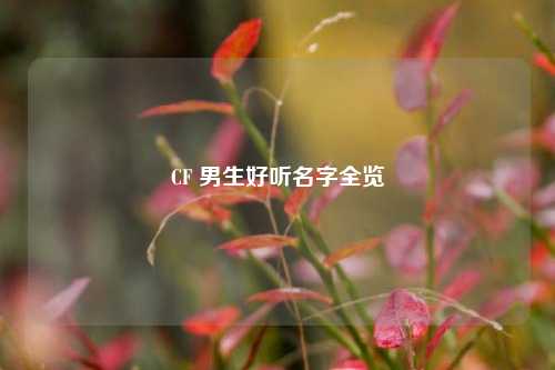 CF 男生好听名字全览