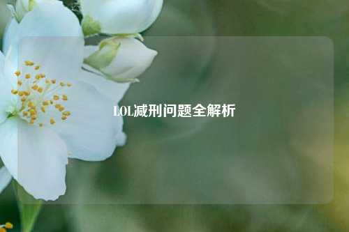 LOL减刑问题全解析