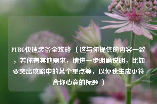 PUBG快速装备全攻略 （这与你提供的内容一致，若你有其他需求，请进一步明确说明，比如要突出攻略中的某个重点等，以便我生成更符合你心意的标题 ）