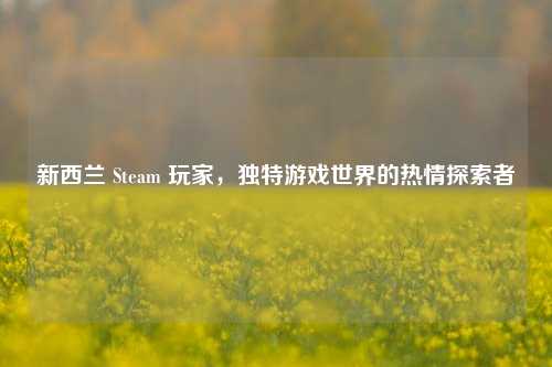 新西兰 Steam 玩家,独特游戏世界的热情探索者