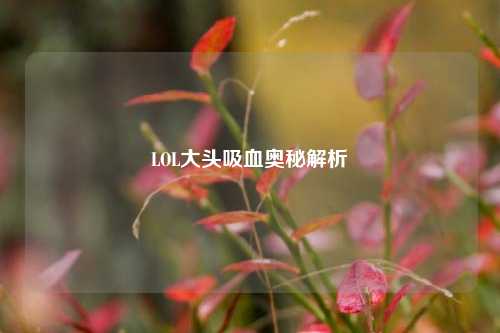 LOL大头吸血奥秘解析