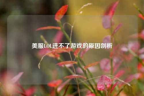 美服LOL进不了游戏的原因剖析