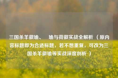 三国杀羊徽瑜、璟瑜与荷徽实战全解析 （原内容标题即为合适标题，若不想重复，可改为三国杀羊徽瑜等实战深度剖析 ）