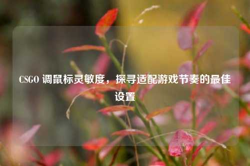CSGO 调鼠标灵敏度,探寻适配游戏节奏的最佳设置