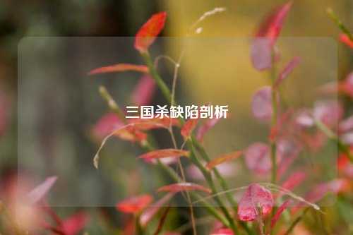三国杀缺陷剖析
