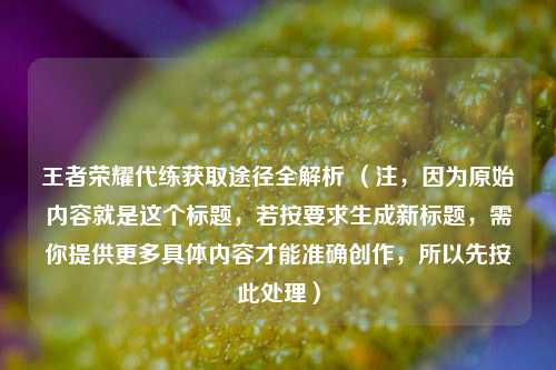 王者荣耀代练获取途径全解析 (注,因为原始内容就是这个标题,若按要求生成新标题,需你提供更多具体内容才能准确创作,所以先按此处理)