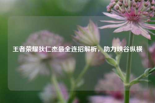 王者荣耀狄仁杰最全连招解析，助力峡谷纵横