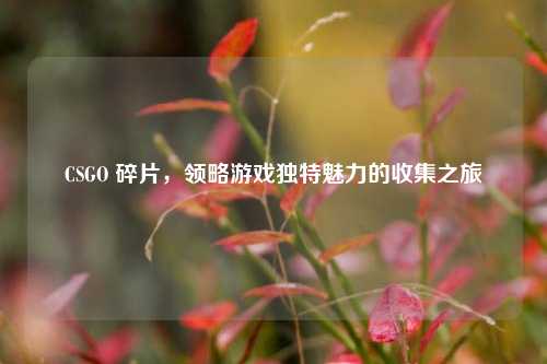 CSGO 碎片，领略游戏独特魅力的收集之旅