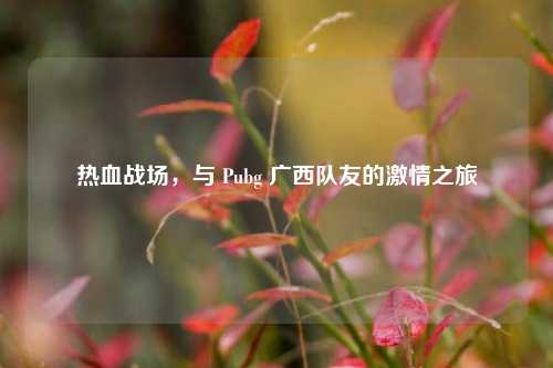 热血战场，与 Pubg 广西队友的激情之旅