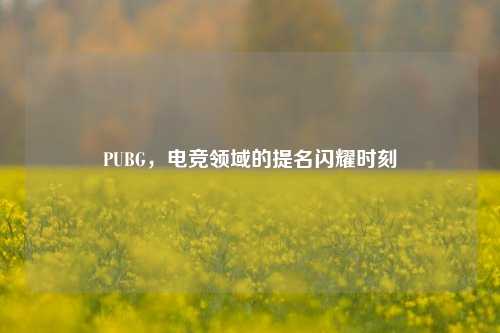 PUBG，电竞领域的提名闪耀时刻