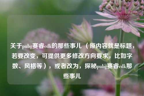关于pubg赛睿cdk的那些事儿 (原内容就是标题,若要改变,可提供更多修改方向要求,比如字数、风格等),或者改为,探秘pubg赛睿cdk那些事儿