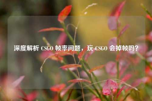 深度解析 CSGO 帧率问题，玩 CSGO 会掉帧吗？