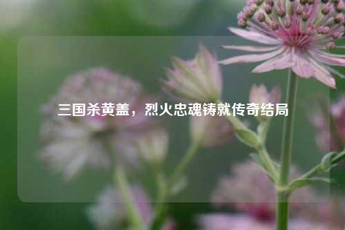 三国杀黄盖,烈火忠魂铸就传奇结局
