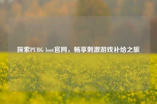 探索PUBG loot官网,畅享刺激游戏补给之旅