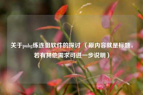 关于pubg练连狙软件的探讨 （原内容就是标题，若有其他需求可进一步说明）