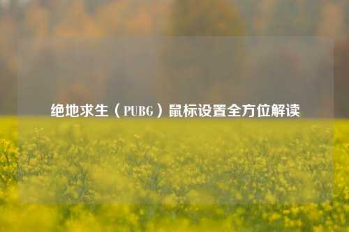绝地求生（PUBG）鼠标设置全方位解读