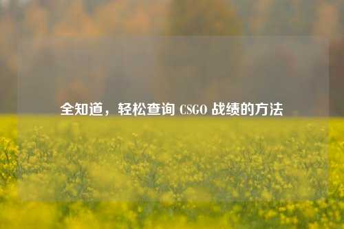 全知道，轻松查询 CSGO 战绩的方法