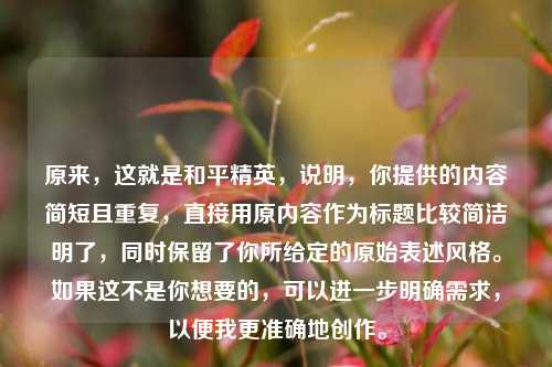 原来，这就是和平精英，说明，你提供的内容简短且重复，直接用原内容作为标题比较简洁明了，同时保留了你所给定的原始表述风格。如果这不是你想要的，可以进一步明确需求，以便我更准确地创作。