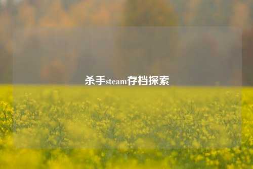 杀手steam存档探索