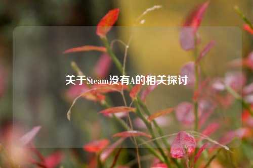 关于Steam没有A的相关探讨