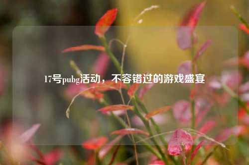 17号pubg活动，不容错过的游戏盛宴