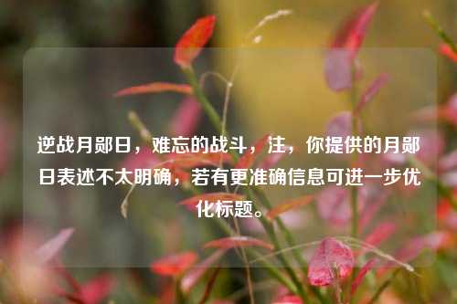 逆战月郧日,难忘的战斗,注,你提供的月郧日表述不太明确,若有更准确信息可进一步优化标题。