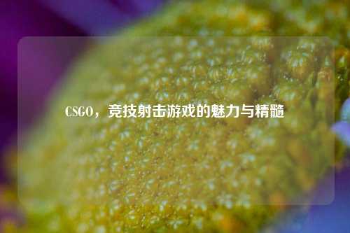 CSGO，竞技射击游戏的魅力与精髓