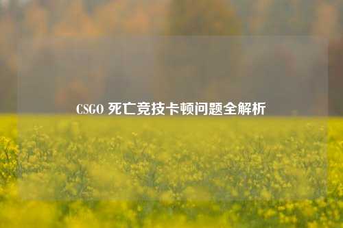 CSGO 死亡竞技卡顿问题全解析