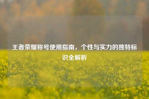 王者荣耀称号使用指南，个性与实力的独特标识全解析
