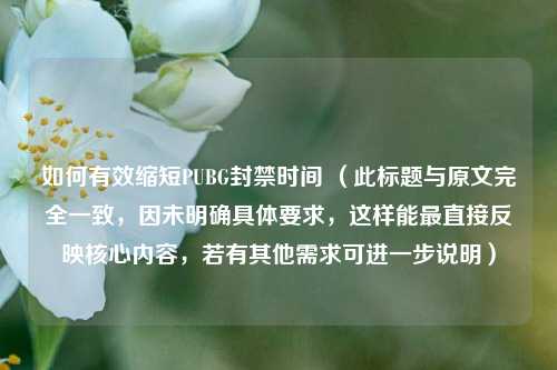 如何有效缩短PUBG封禁时间 （此标题与原文完全一致，因未明确具体要求，这样能最直接反映核心内容，若有其他需求可进一步说明）