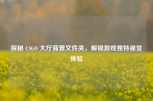 探秘 CSGO 大厅背景文件夹，解锁游戏独特视觉体验