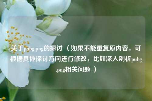 关于pubg.png的探讨 （如果不能重复原内容，可根据具体探讨方向进行修改，比如深入剖析pubg.png相关问题 ）