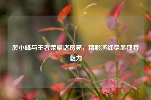 裴小峰与王者荣耀诸葛亮，精彩演绎尽显独特魅力