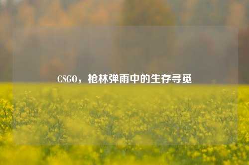 CSGO,枪林弹雨中的生存寻觅
