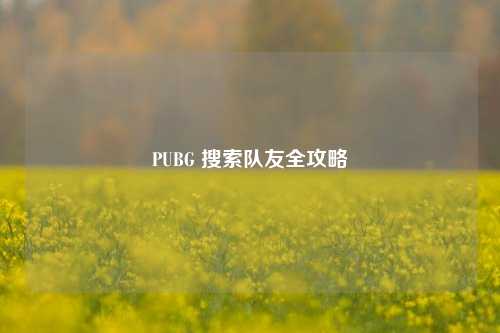 PUBG 搜索队友全攻略