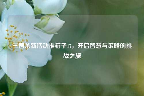 三国杀新活动推箱子17，开启智慧与策略的挑战之旅
