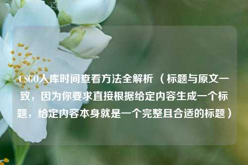 CSGO入库时间查看方法全解析 (标题与原文一致,因为你要求直接根据给定内容生成一个标题,给定内容本身就是一个完整且合适的标题)