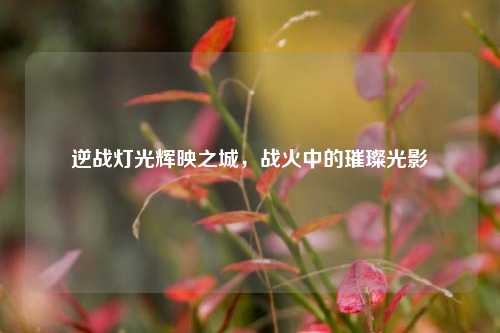逆战灯光辉映之城，战火中的璀璨光影