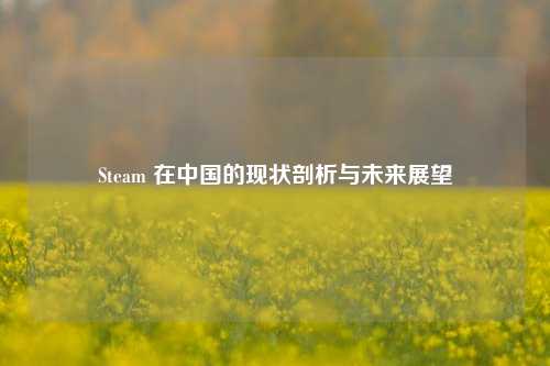 Steam 在中国的现状剖析与未来展望