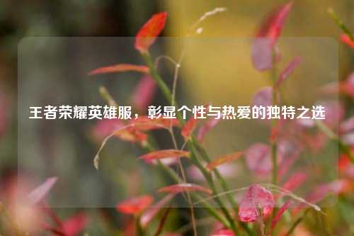 王者荣耀英雄服,彰显个性与热爱的独特之选
