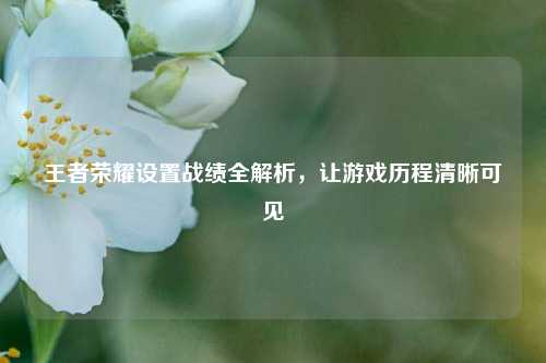 王者荣耀设置战绩全解析，让游戏历程清晰可见