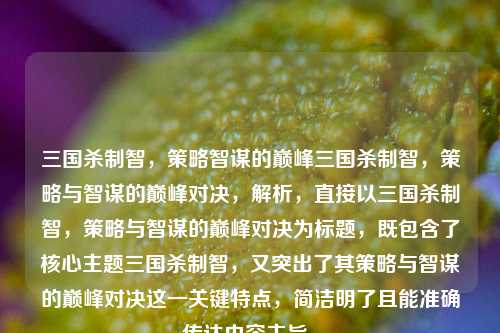 三国杀制智,策略智谋的巅峰三国杀制智,策略与智谋的巅峰对决,解析,直接以三国杀制智,策略与智谋的巅峰对决为标题,既包含了核心主题三国杀制智,又突出了其策略与智谋的巅峰对决这一关键特点,简洁明了且能准确传达内容主旨。