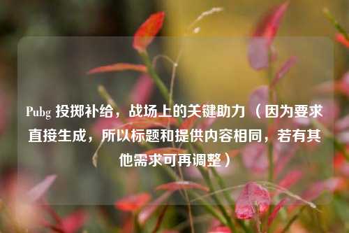 Pubg 投掷补给，战场上的关键助力 （因为要求直接生成，所以标题和提供内容相同，若有其他需求可再调整）