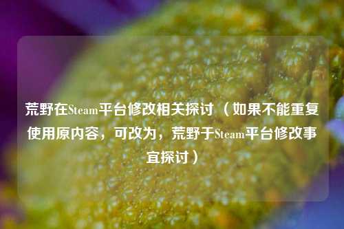 荒野在Steam平台修改相关探讨 （如果不能重复使用原内容，可改为，荒野于Steam平台修改事宜探讨）