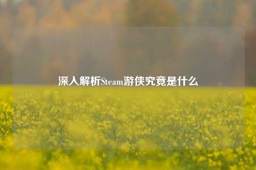 深入解析Steam游侠究竟是什么
