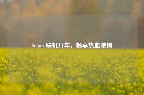 Steam 联机开车，畅享热血激情
